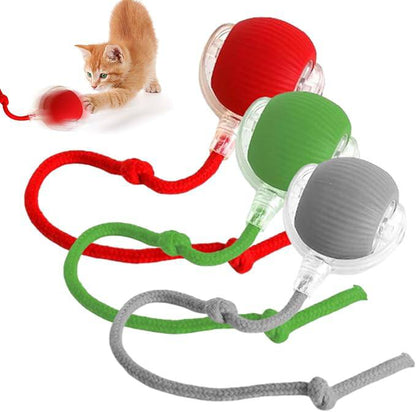 Pelota Interactiva Recargable