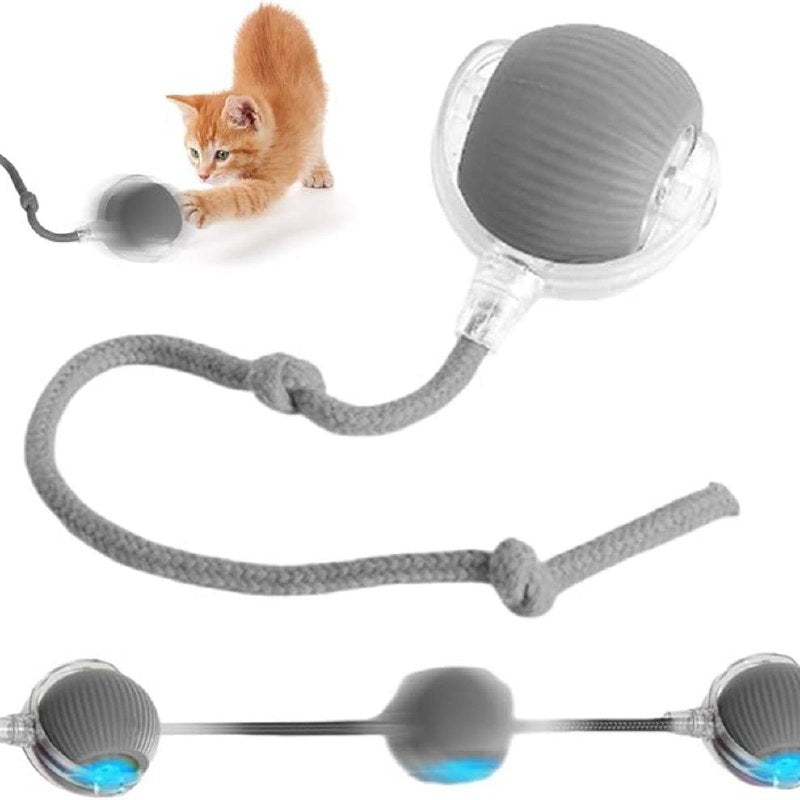 Pelota Interactiva Recargable
